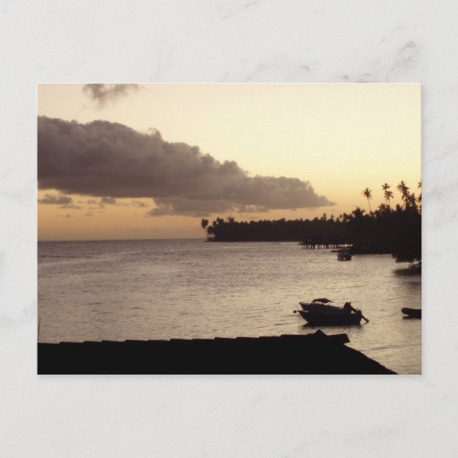 Carte Postale Sinalei Resort (Devant)