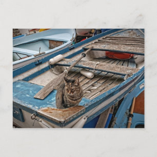 Carte postale Sinbad the Sailor Cat