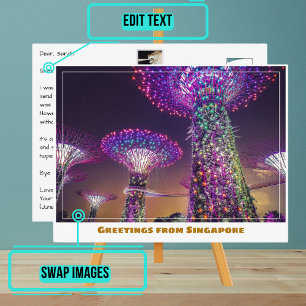 Carte Postale Singapore Gardens by the Bay at Night Modern