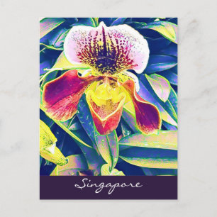 Carte Postale Singapore Orchid voyage Asie du Sud-Est