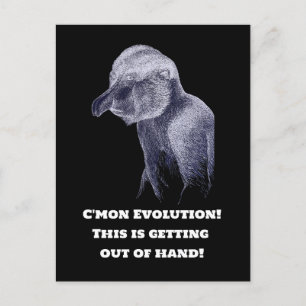Carte Postale Singe de l'évolution