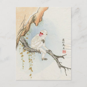 Carte Postale Singe japonais