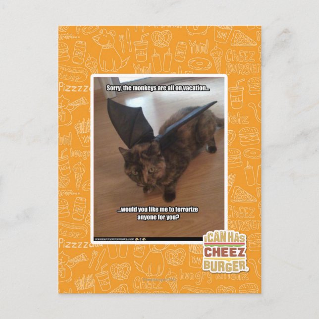 Carte Postale Singes des vacances (Devant)