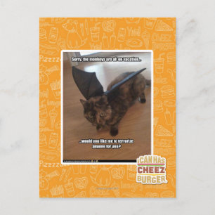 Carte Postale Singes en vacances