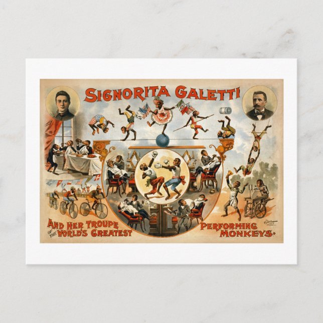 Carte Postale Singes les plus performants du monde 1892 (Devant)