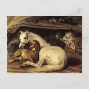 Carte Postale Sir Edwin Henry Landseer   La tente arabe