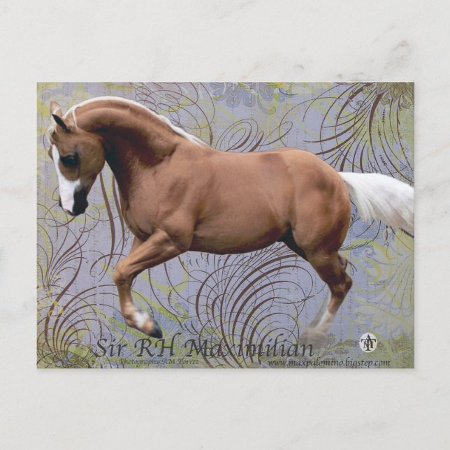 Carte Postale SirRHMaximilian2 (Devant)