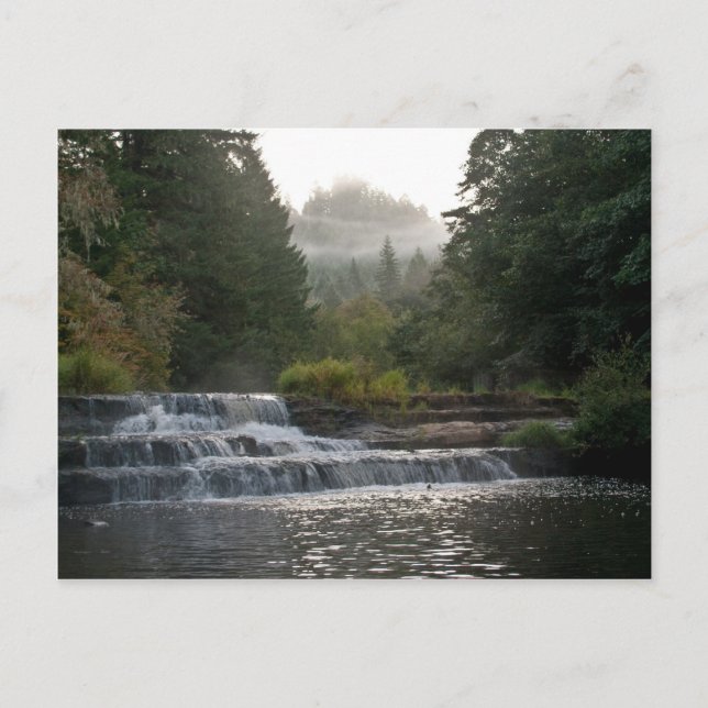 Carte Postale Siuslaw Falls (Devant)