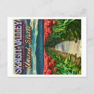 CARTE POSTALE SKAGIT VALLEY - CHAMPS TULIP - SKAGIT WASHINGTON 