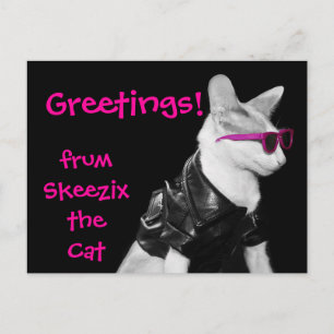 Carte Postale Skeezix the Cat Postcard