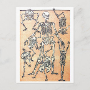 Carte postale Skeleton Dance