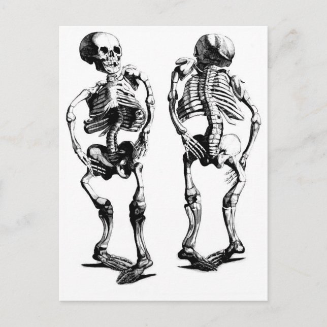 Carte postale Skeleton Dance (Devant)