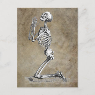 Carte Postale Skeleton humain agenouillé dans la prière