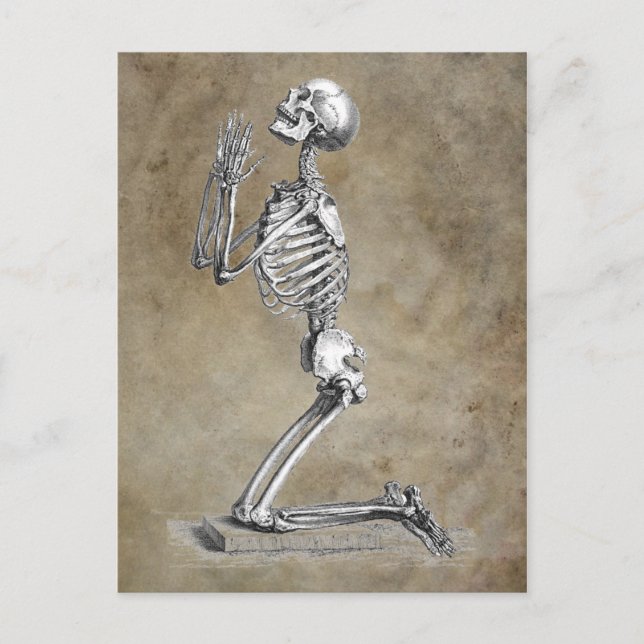 Carte Postale Skeleton humain agenouillé dans la prière (Devant)