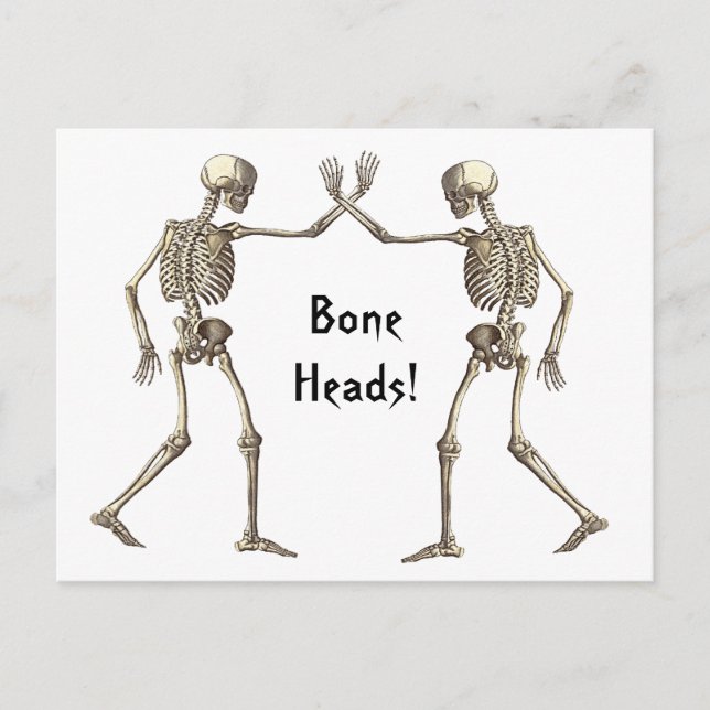 Carte postale Skeletons de tête d'os (Devant)