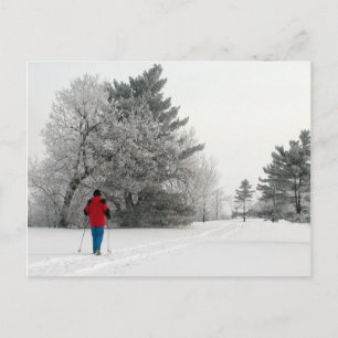 Carte Postale Ski de fond le jour du Frosty