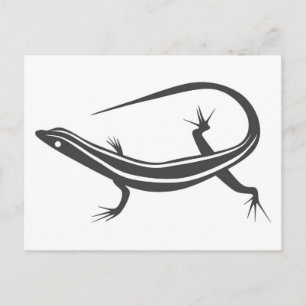 Carte Postale Skink lizard postcard