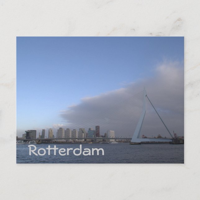 Carte Postale Skyline de Rotterdam (Devant)