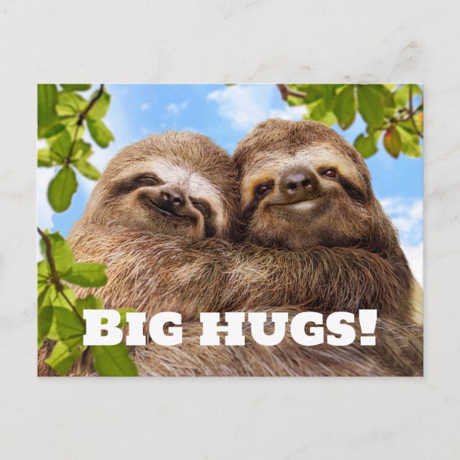 Carte Postale Sloth Couple (Devant)