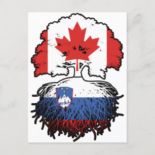 Carte Postale Slovénie Drapeau canadien slovène des racines d'ar