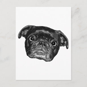 Carte Postale Smiling Pug Point Post