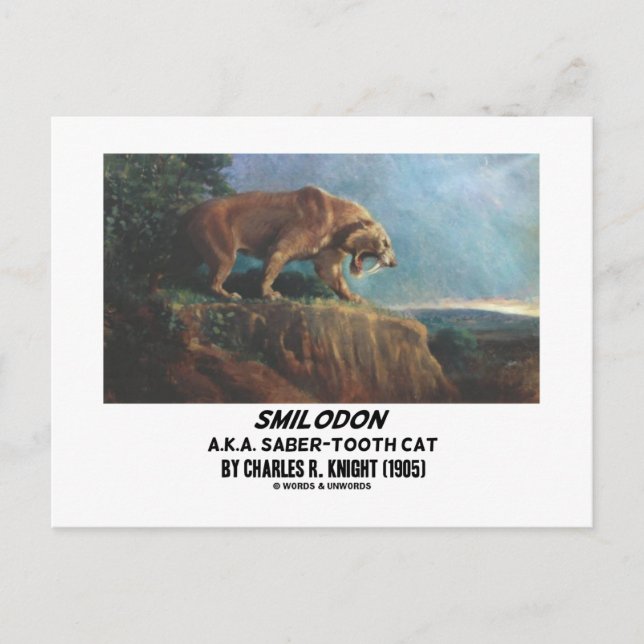 Carte Postale Smilodon (A.K.A. Saber-Tooth Cat) Knight (1905) (Devant)