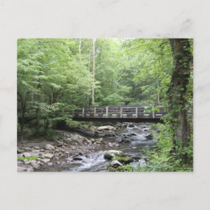 Carte postale Smokey Mountain Creek