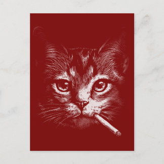 Carte Postale Smoking Cat Funny 