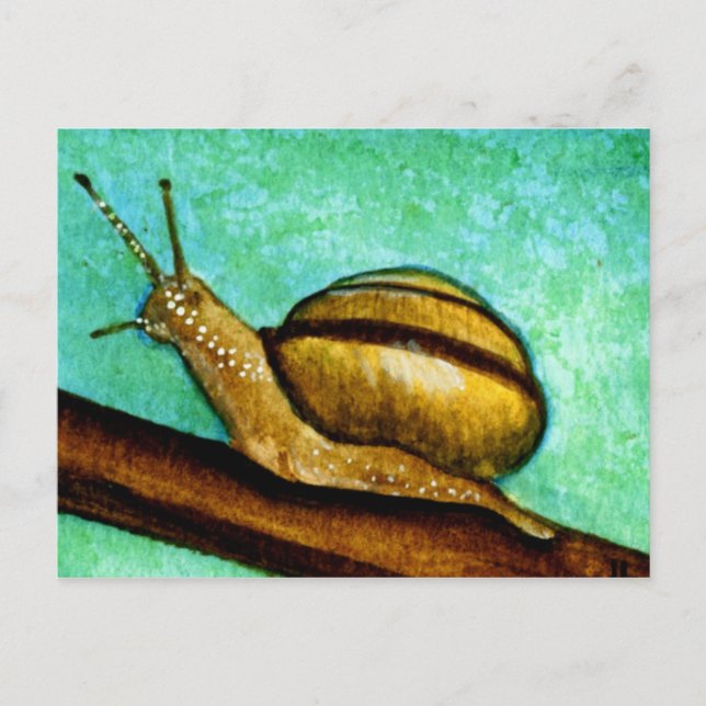 Carte postale Snail 1 (Devant)