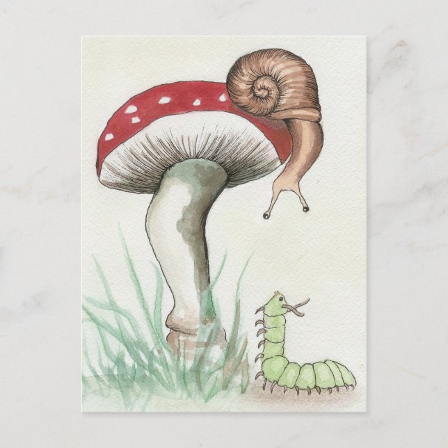 Carte postale Snail & Caterpillar (Devant)
