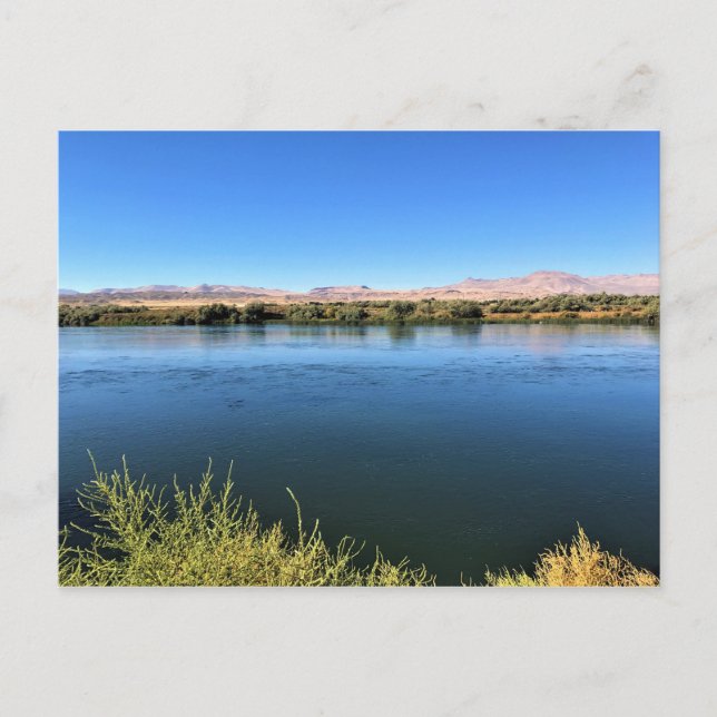 Carte Postale Snake (Devant)
