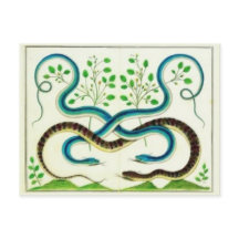 Carte postale Snakes