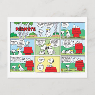 Carte Postale Snoopy et ses frères Andy et Olaf