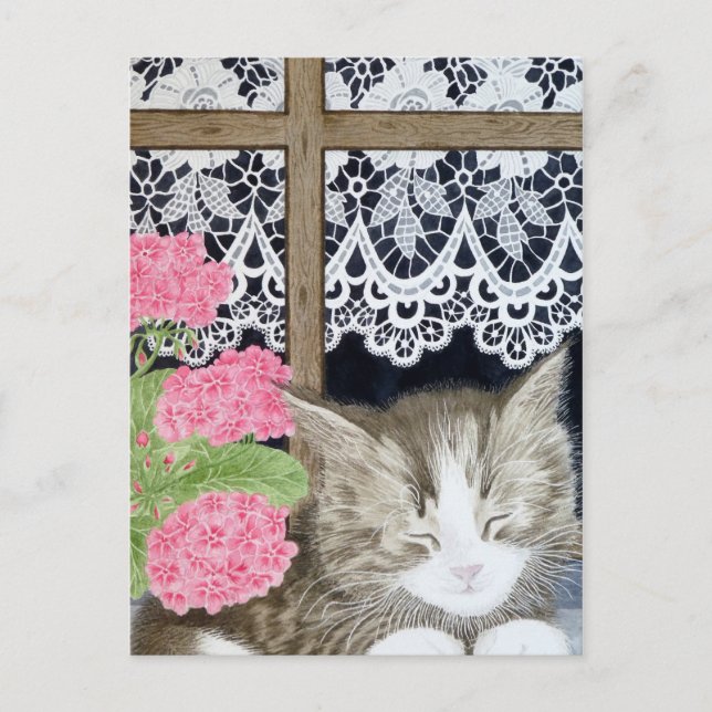 Carte Postale Snoozing au soleil (Devant)