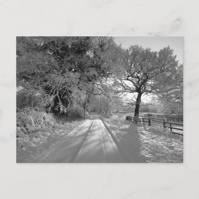 Carte Postale Snow Landscape: Cheshire (Devant)