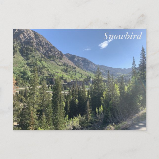 Carte Postale Snowbird - été (Devant)