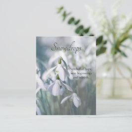Carte Postale Snowdrops