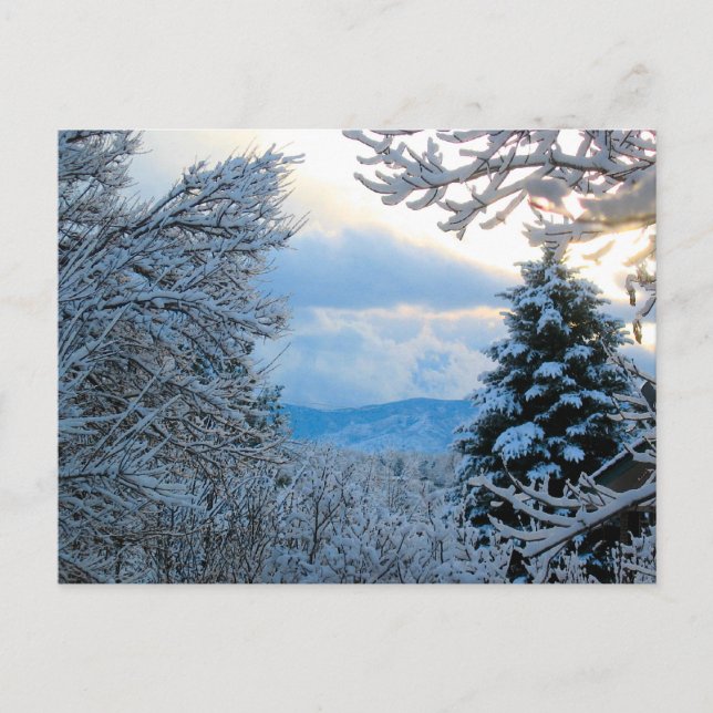 Carte Postale Snowy Colorado (Devant)