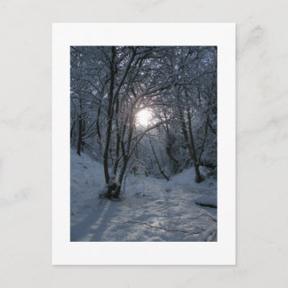 Carte Postale Snowy Forest Trail