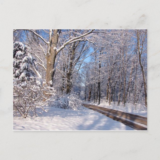 Carte Postale Snowy Rural Michigan (Devant)