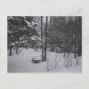 Carte Postale Snowy Winter Day