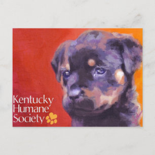 Carte Postale Société de l'Humane du Kentucky
