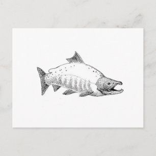 Carte Postale Sockeye Saumon Line Art