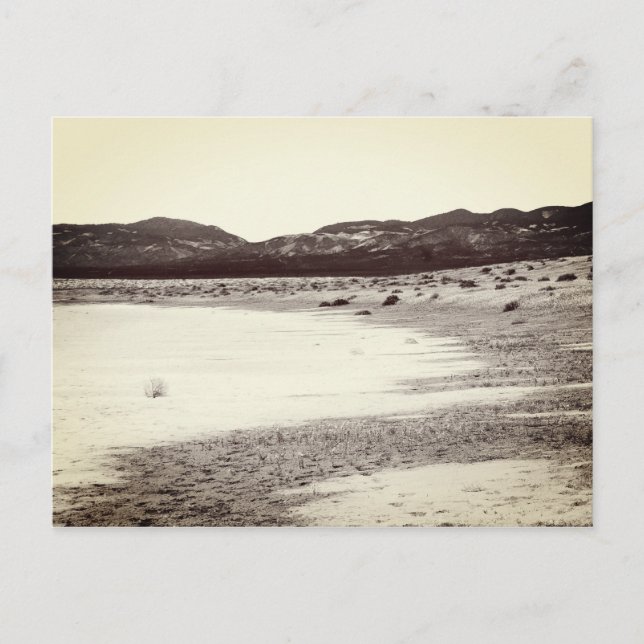 Carte Postale Soda Lake Carrizo Plain Californie (Devant)