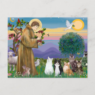 Carte Postale Sœur Frances bénissant 5 chats