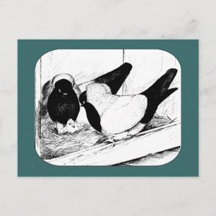 Carte Postale Soeurs 1980