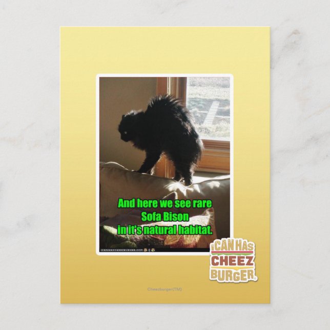 Carte Postale Sofa Bison (Devant)