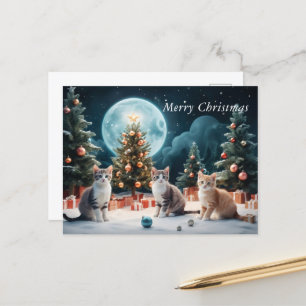 Carte Postale Soirée de Noël envoûtante avec des chatons