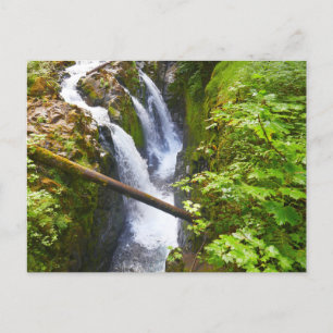 Carte Postale Sol Duc Falls I au parc national Olympique