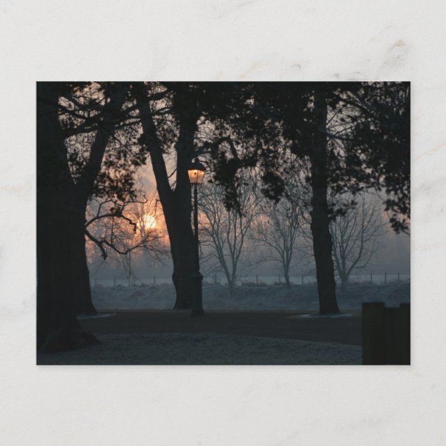 Carte Postale Soleil (Devant)